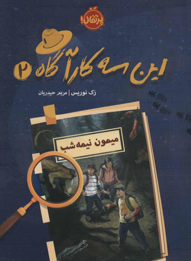 کتاب این سه کارآگاه 2